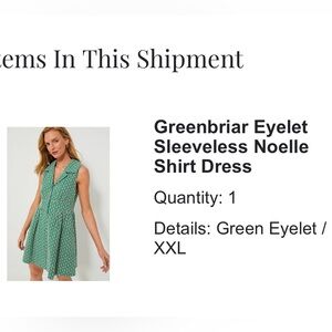 Greenbrier Eyelet Sleeveless Noelle Shirt Dress